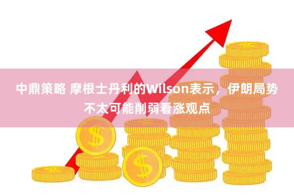 中鼎策略 摩根士丹利的Wilson表示，伊朗局势不太可能削弱看涨观点